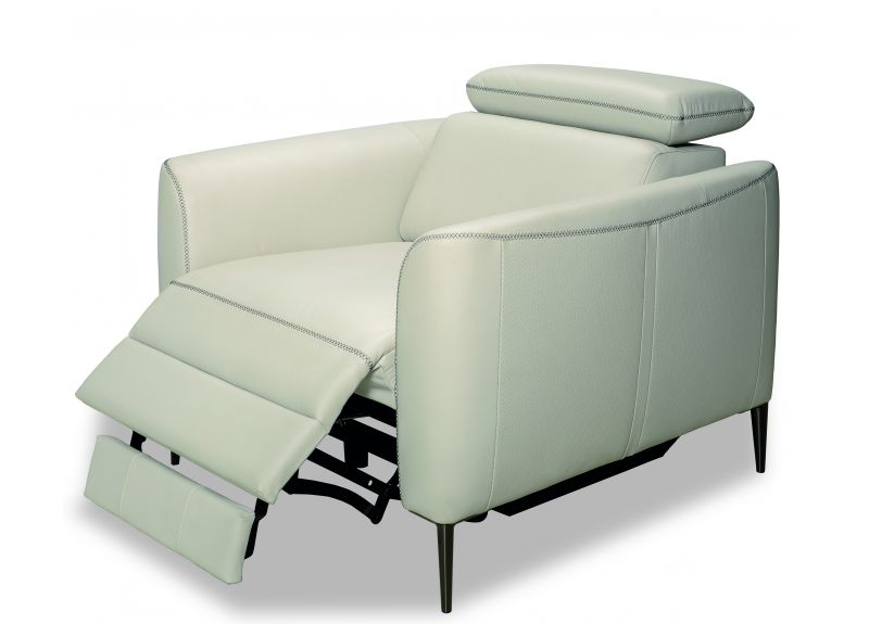Fabric/Leather Armchair with Optional Recliner, Metal Legs and Adjustable Headrest - Dianthus